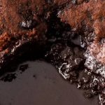 Nigella Chocolate Self-Saucing Pudding